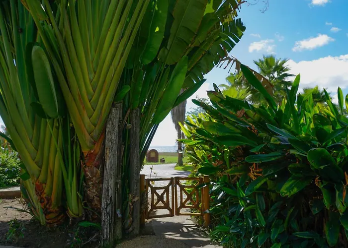 Casa Flor De La Vida