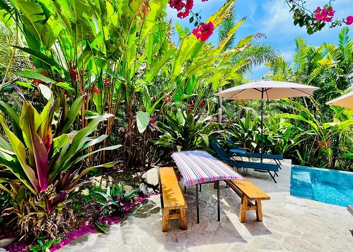 Huge Suite!! King Bed, Air Conditioning, Pool, Fast Wifi - Sol At Casa Calavera
